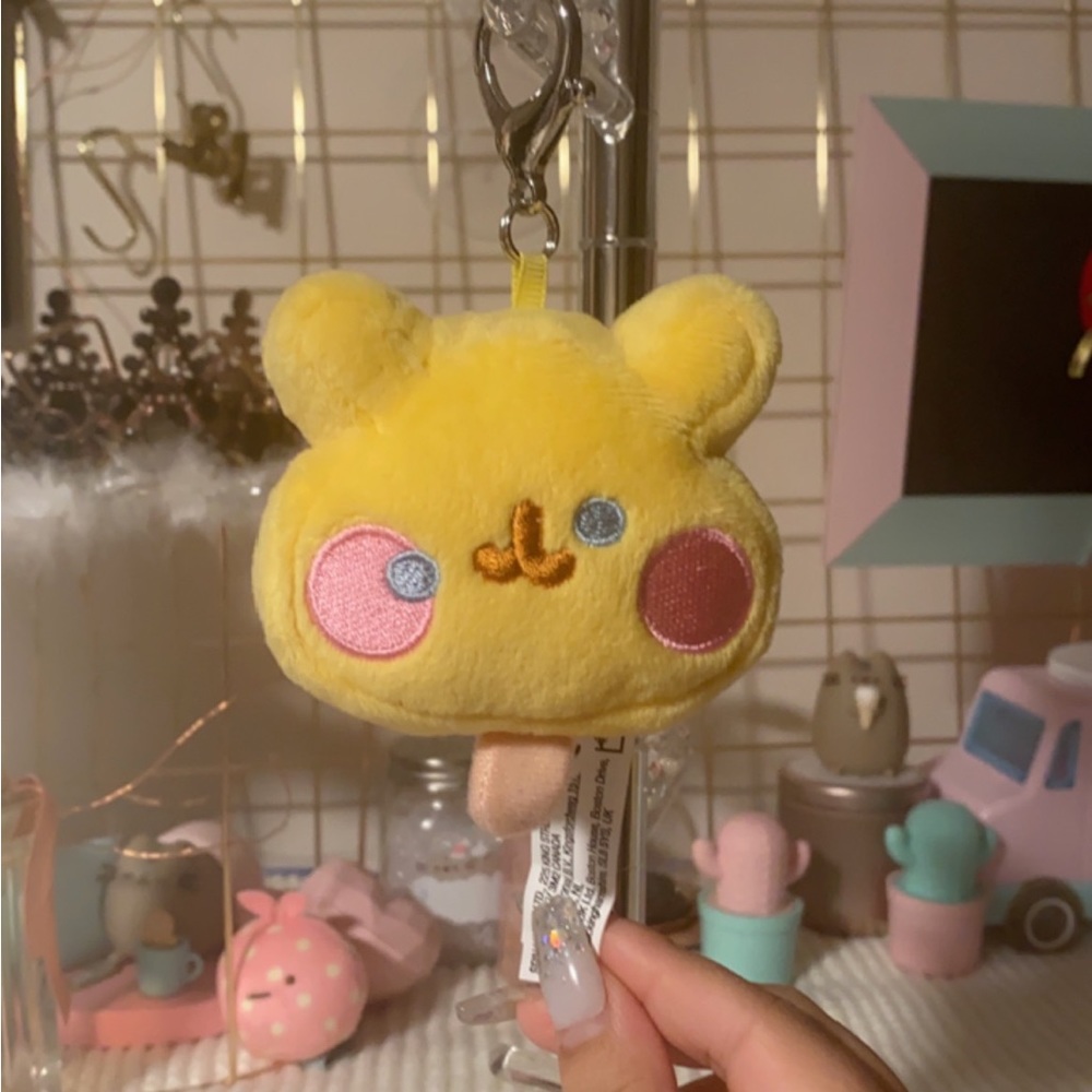 Pusheen Blind Box Duplicate